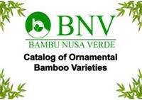bnv ornamental bamboo-1